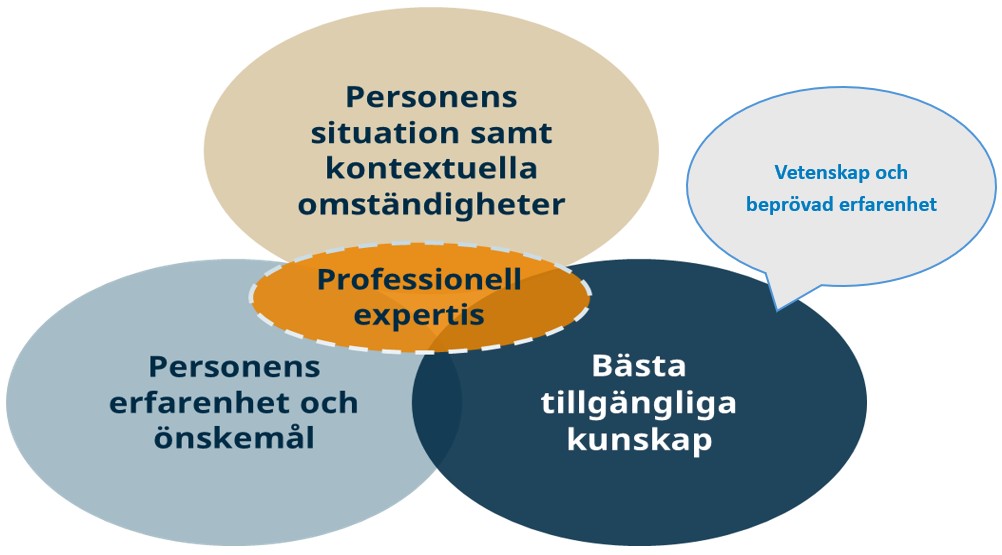IBIC-ebp-modellen.jpg