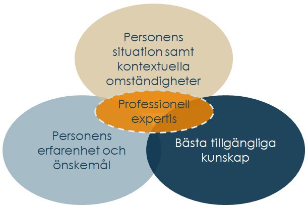 den-evidensbaserade-modellen.jpg