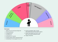 Roller Och Ansvar I Insatsen Kontaktperson Kunskapsguiden